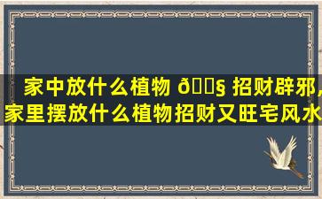 家中放什么植物 🐧 招财辟邪,家里摆放什么植物招财又旺宅风水